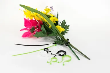 【奨励賞受賞】スマート タイ