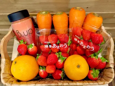 Noel(ノエル) 素材