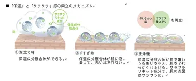 「保湿」と「サラサラ」感の両立のメカニズム