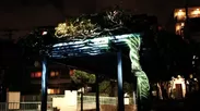 LightTreeProject 1“Light Tree(Season’s Greetings)”