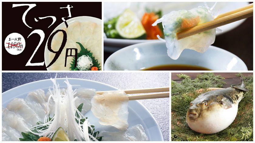 ふぐ刺しが29円！『玄品ふぐ』が“ふぐの日”にちなんだ
期間限定フェアを2月9日(木)から開催！