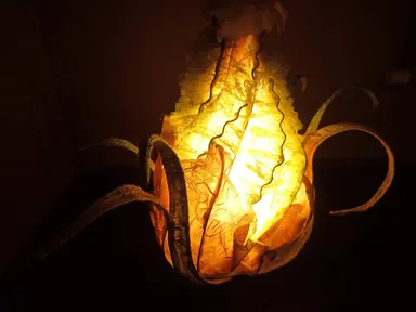 菊池氏のアートランプ