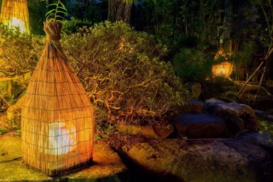 庭園に設置した灯り