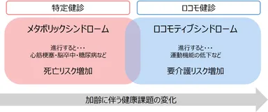 特定健診とロコモ健診　加齢に伴う健康課題の変化