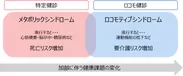 特定健診とロコモ健診　加齢に伴う健康課題の変化