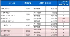 BIGLOBE SIM 料金表