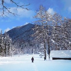 雪原を歩く