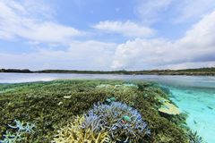 宮古島 シギラビーチ