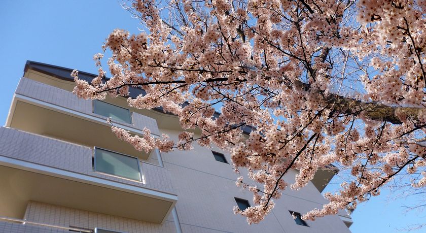 神奈川に“1棟丸ごとリノベーションマンション”が誕生　
「リリファ大和」が2月4日新発売