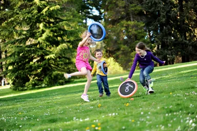 オゴディスク(ライフスタイル)