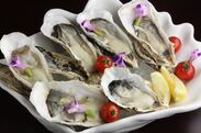 プリップリな「国産生牡蠣」が食べ放題！リニューアル記念　川崎のオイスターバルが2月13～16日に開催