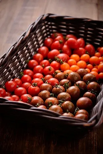 有機カラフルミニトマト