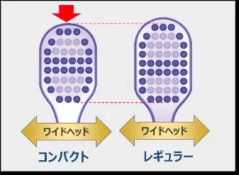 ビトイーン贅沢Care コンパクトとレギュラーのハブラシヘッドの比較図