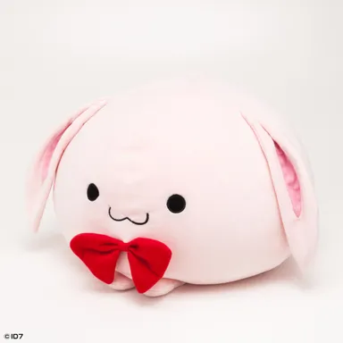 きなこ(ななめ前)