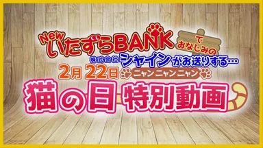 『猫の日PV』タイトル