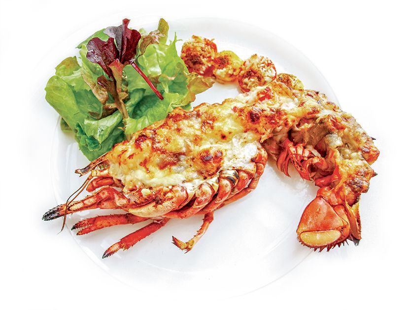 アツアツの「オマール海老のクリームグラタン」
先着1,000名様限定でサービス！
「生牡蠣・カキフライ」など人気牡蠣料理18品にサラダ・パスタ・デザートなど全30品食べ放題！
オイスターバーの「30品のテーブルオーダーバイキング」
