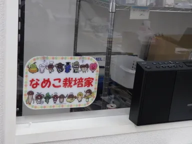 お部屋での透明なガラス越しの「なめこ栽培家」