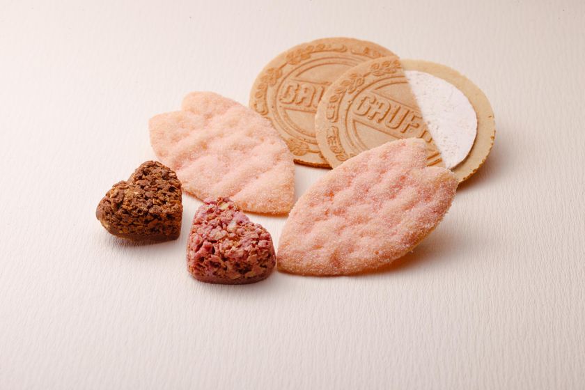 上野風月堂、『春を贈る』をテーマにした新商品を発売　
ホワイトデーや季節の贈り物にふさわしいお菓子が勢揃い！