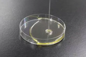 機能性脂肪酸HYA