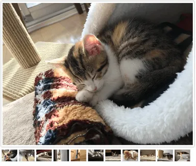 ギャラリー制作サンプル