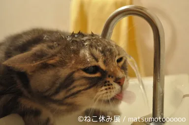 展示予定作品(4)