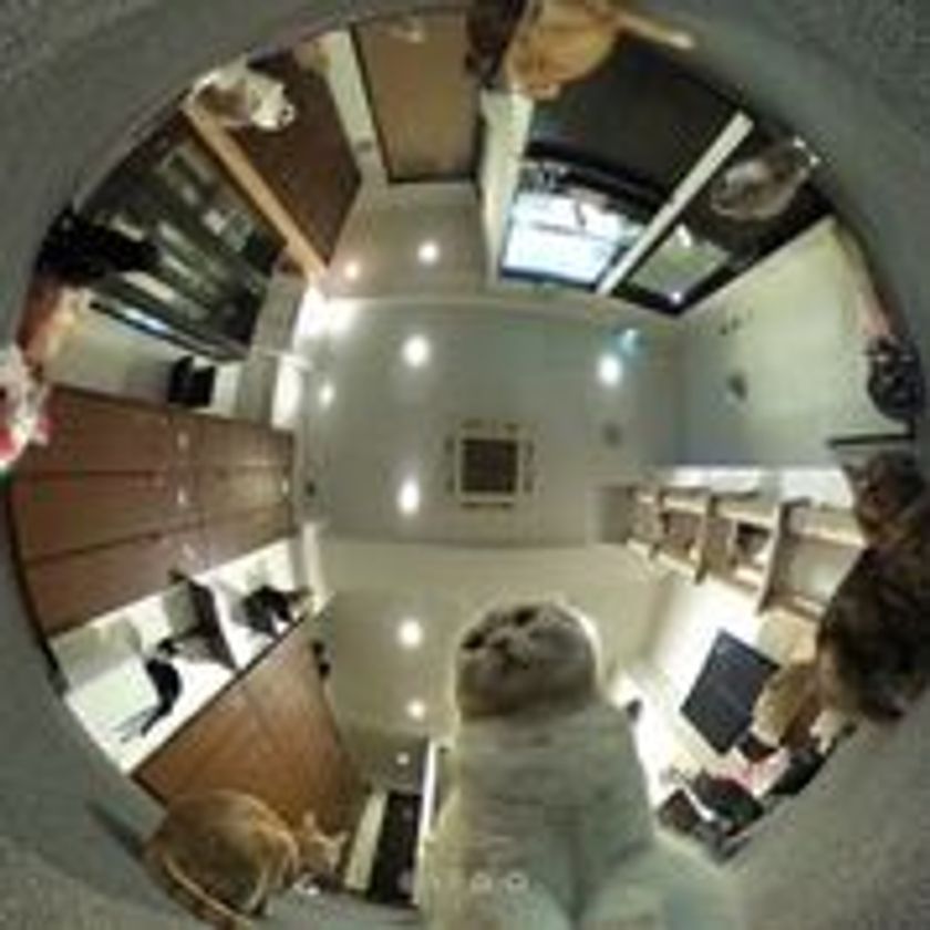 VRは「見る」から「撮る」の時代へ　
猫カフェや空港などでも360°カメラ貸出開始　
思い出つくりに、最新VR活用事例を発表