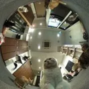 きゃりこ新宿店撮影の様子 1