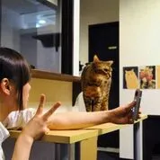 きゃりこ新宿店撮影の様子 2