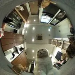 きゃりこ新宿店撮影の様子 1
