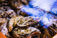 富山の海洋深層水で牡蠣を60時間浄化