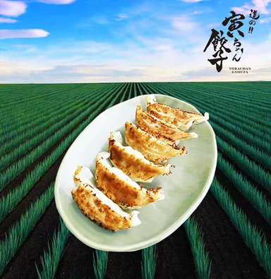 寅ちゃん餃子 1