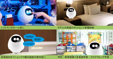 タピアを用いたソリューションの展開イメージ