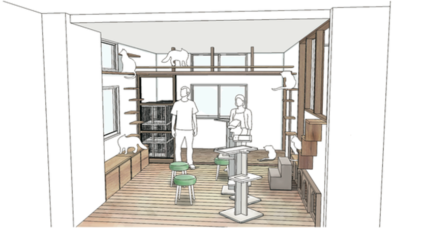猫もゲストも幸せになれる宿泊施設へ
保護猫シェルター付ゲストハウスを
博多区千代に3月23日オープン