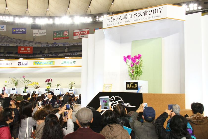 世界最大級！約3,000種、約10万株、250万輪以上の蘭の競演　
来場約4万5千人超の「世界らん展日本大賞2017」を2/17まで開催