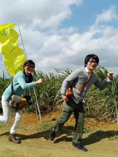 さとうきび畑迷路