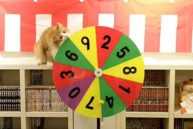 抽せん会の様子(写真は昨年の年末にゃんぼ抽せん会のもの)