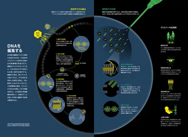 「人体の神秘」画像２