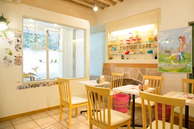 ことりカフェ表参道(内観)