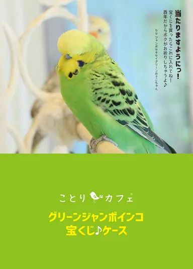 特製クリアファイル(裏)