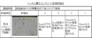 図-1　コンクリートの表層状態と点数の例