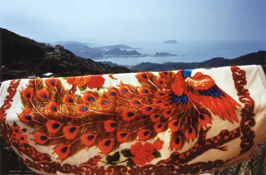 リン・シュエンラン　台北再会(Taipei Meet Again),2015(C)LIN Hsuan-Lang