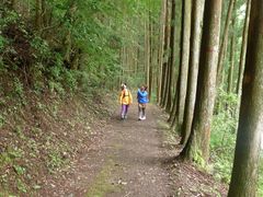 日之影町の森の中を歩く森林セラピーの様子 1