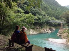 日之影町の森の中を歩く森林セラピーの様子 2