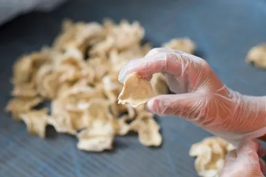 さぬきくらげ「白」検品画像