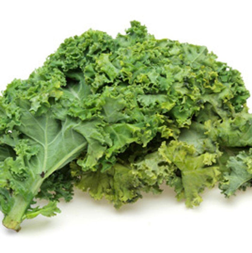 健康に関する最新レポートをmicrodiet.netにて公開
『青汁で有名な野菜のケールがセレブに大人気！』