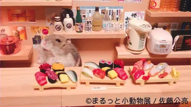 展示予定作品(5)