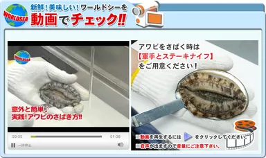 楽天市場内店舗の動画1