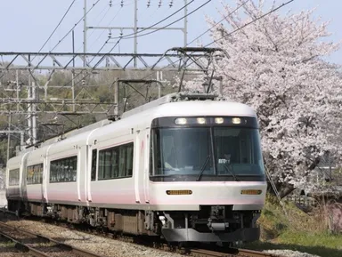 特急「さくらライナー」