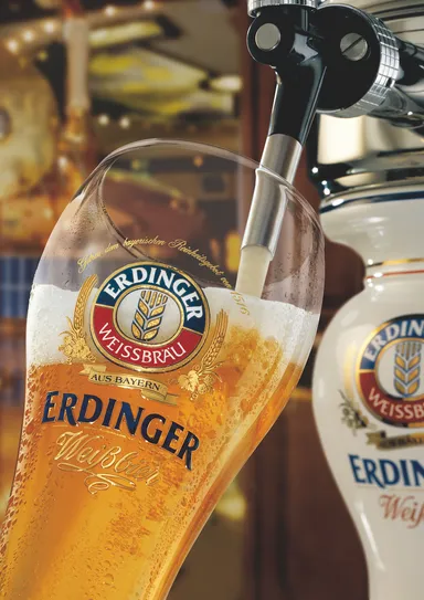 『エルディンガー』を提供開始