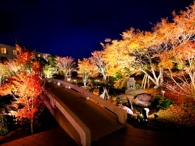 ガーデンライトアップ